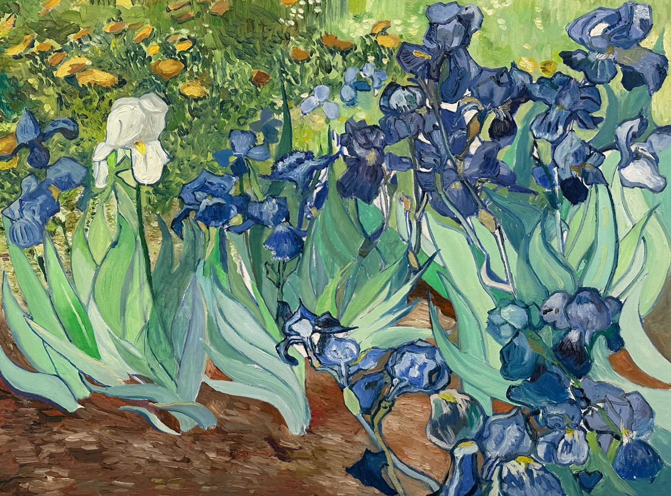 Irises in the Garden